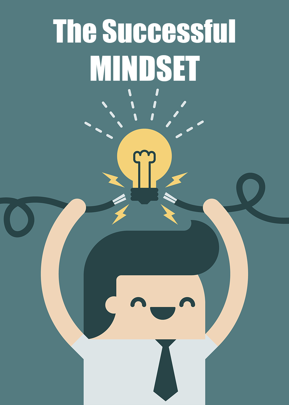 The Successful Mindset